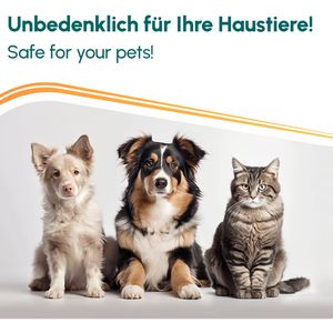 Produktbild für Desinfektionsmittel INOX Anti Giardien-Wischkonzentrat