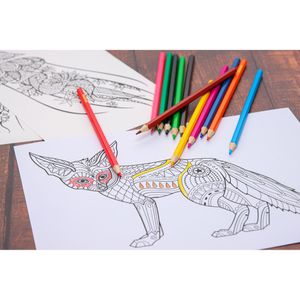 Produktbild für Buntstifte DONAU Farbstifte, 3810001