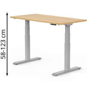 Schreibtisch FlexiSpot E7S 2026, ahorn / grau