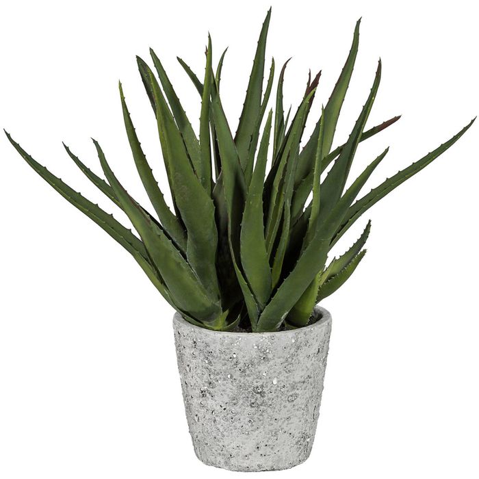 44 Creativ-green Vera, Aloe AG Böttcher cm, im Höhe Zement-Topf – Kunstpflanze