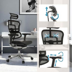 Produktbild für Bürostuhl hJh-OFFICE ERGOHUMAN GEN2, 652306