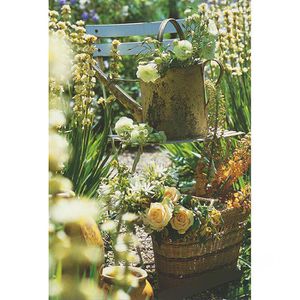 BöttcherAG Grußkarten Blumen & Garten, sortiert, 115 x 170mm