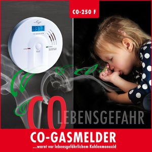 Produktbild für CO-Melder Protector CO-250 F, mit Batterie