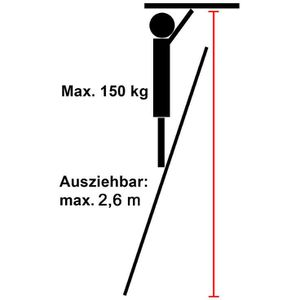 Produktbild für Teleskopleiter Eaxus 83880, Länge 2,6m