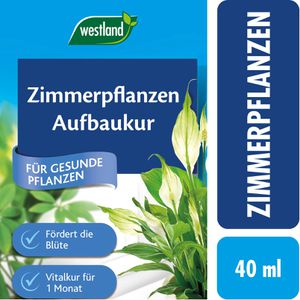 Produktbild für Dünger Westland Zimmerpflanzen Vitalkur