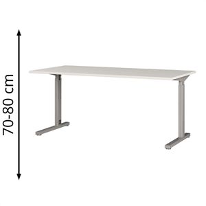 Produktbild für Schreibtisch Germania Profi 3.0, 4253-583, lichtgrau / silber
