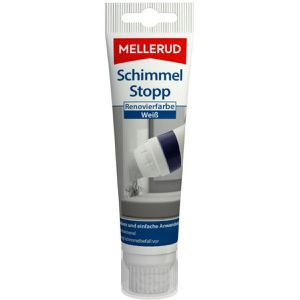 Anti-Schimmel-Farbe