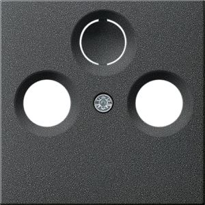 Produktbild für Zentralplatte Gira System 55 086928