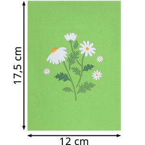 Produktbild für Grußkarten papercrush 3D Gänseblümchen