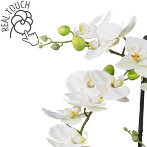 Produktbild für Kunstblume Creativ-green Orchidee, Phalaenopsis