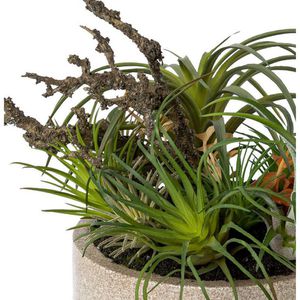 Produktbild für Kunstpflanze Creativ-green Tillandsien-Mix