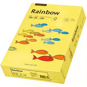 Produktbild für Kopierpapier Papyrus Rainbow 88042348