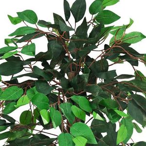 Produktbild für Kunstpflanze Decovego Ficus Benjamin
