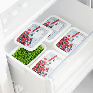 Produktbild für Frischhaltedose Rotho Domino, aus Kunststoff