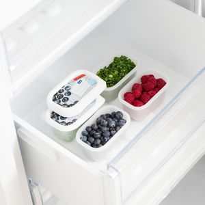 Produktbild für Frischhaltedose Rotho Domino, aus Kunststoff