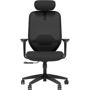 Bürostuhl FlexiSpot C5B-PRO