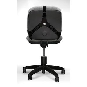 Produktbild für Rückenstütze Fellowes Professional Series, aus Memory-Schaum