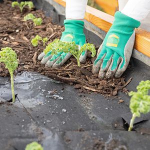 Produktbild für Unkrautvlies OwnGrown BEGR-000760, 2 x 5m