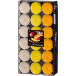 Duftkerzen Gala Flavour 030685632, Mango-Papaya