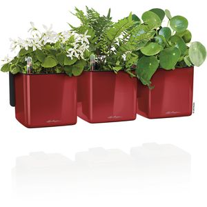 Produktbild für Übertopf Lechuza Green Wall Home Kit Glossy, rot, 14x14x14cm