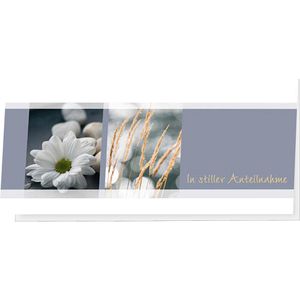 Produktbild für Trauerkarten Sigel DS208, Anteilnahme