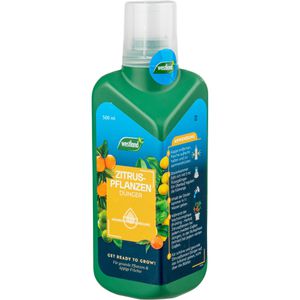Produktbild für Dünger Westland Zitruspflanzen