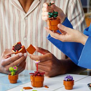 Produktbild für Klemmbausteine LEGO Icons 10329, ab 18 Jahre