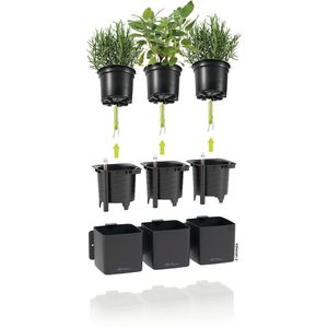 Produktbild für Übertopf Lechuza Green Wall Home Kit, grau matt, 14x14x14cm
