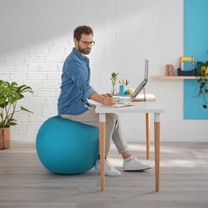 Produktbild für Sitzball Leitz Ergo Cosy Active, belastbar bis 100 kg