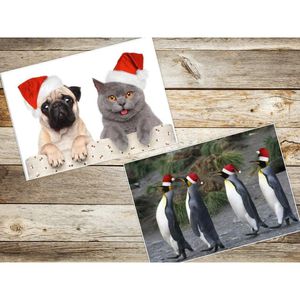 Produktbild für Weihnachtskarte Böttcher-AG Set Weihnachten