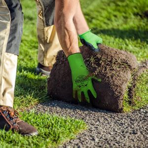 Produktbild für Arbeitshandschuhe ACE-Instruments Handyman