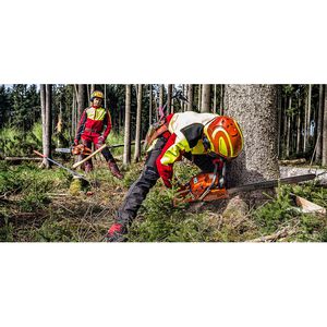 Produktbild für Forsthelm Protos Integral Forest G16, orange-gelb