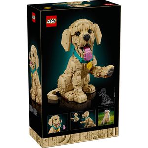 Produktbild für Klemmbausteine LEGO Icons 11384, ab 18 Jahre