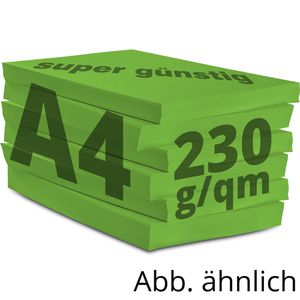 Produktbild für Kopierpapier Papyrus Rainbow 88376524