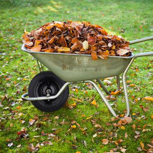 Produktbild für Schubkarrenrad Relaxdays 4.80/4.00-8, luftbereift