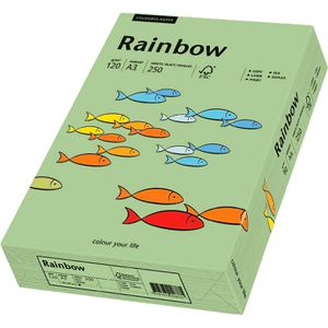 Produktbild für Kopierpapier Papyrus Rainbow 88042635