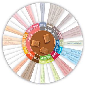 Produktbild für Sirup Monin Caramel