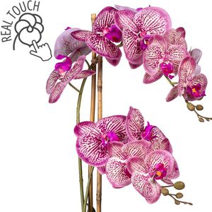 Creativ-green Kunstblume 60 – AG im Phalaenopsis, Böttcher cm Höhe Orchidee, pinkcreme, Zement-Topf