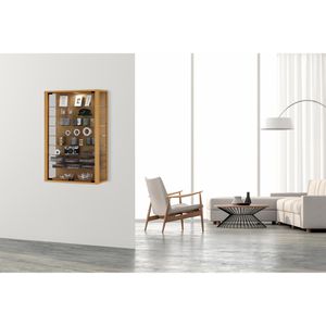 Produktbild für Glasvitrine VCM Vitrosa Mini, hängend