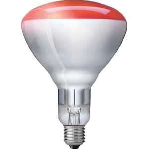 Infrarotlampe Philips InfraRed BR125 IR, E27
