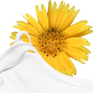 Produktbild für Hautcreme Elina-med Pflegend Arnika Blüten