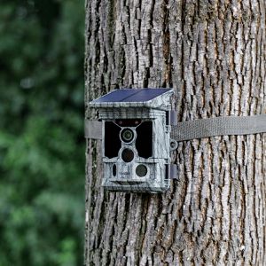 Produktbild für Wildkamera Rollei 4K Wifi Solar