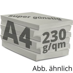 Produktbild für Kopierpapier Papyrus Rainbow 88376530