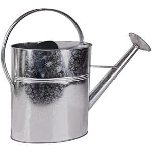 Produktbild für Gießkanne DEMA 16971, silber