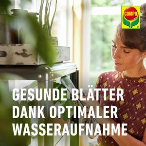 Produktbild für Blumenerde Compo SANA Grünpflanzen- und Palmenerde