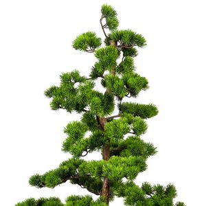 Produktbild für Kunstpflanze Creativ-green Bonsai Kiefer