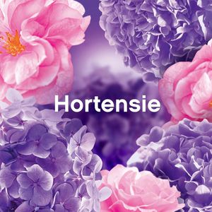 Produktbild für Weichspüler Lenor Vergnügen, Blütentraum