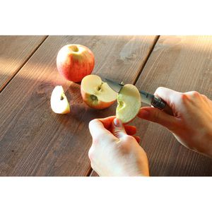 Produktbild für Klappmesser Opinel No.9 Inox, Zweihandmesser