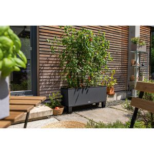 Produktbild für Rankgitter Lechuza 15031, schwarz, zum Stecken