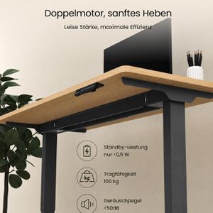 Produktbild für Schreibtisch FlexiSpot E5B, ahorn / schwarz
